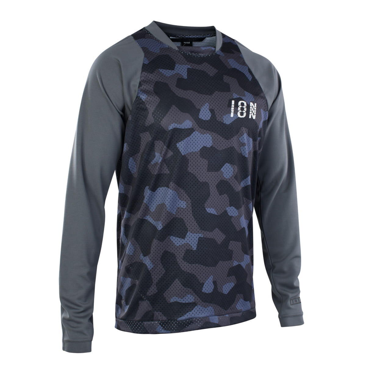 ION picture