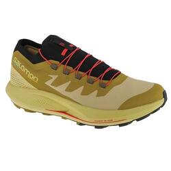 Chaussures randonnée hommes Salomon Pulsar Trailpro
