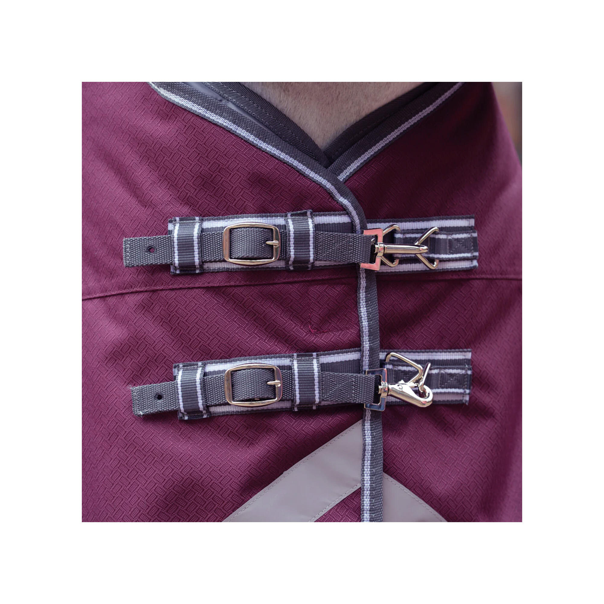 "Comfitec Plus Dynamic II" Standard Pferdedecke Damen und Herren 2/3