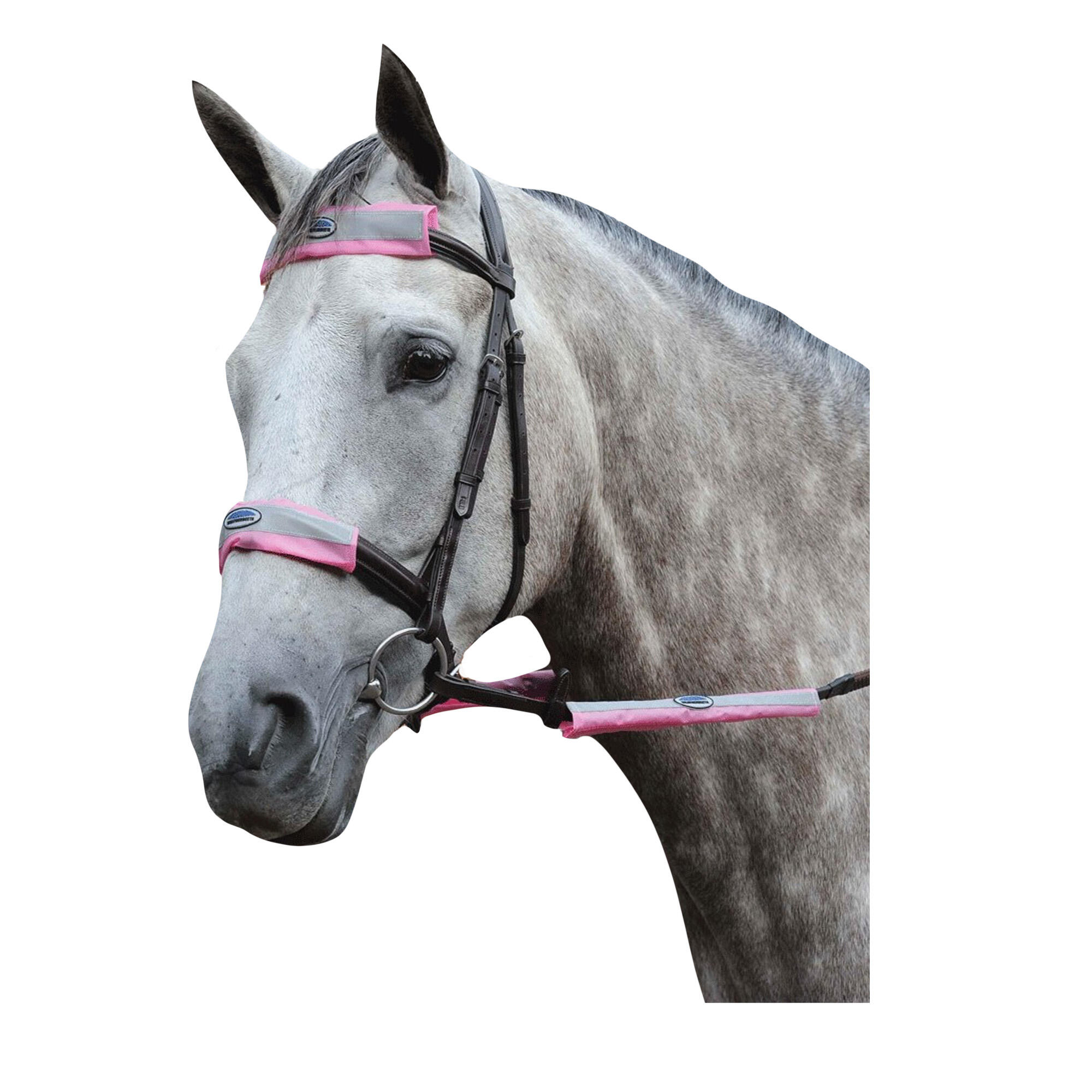Reflective Horse Bridle (Pack of 4) (Pink) 3/3
