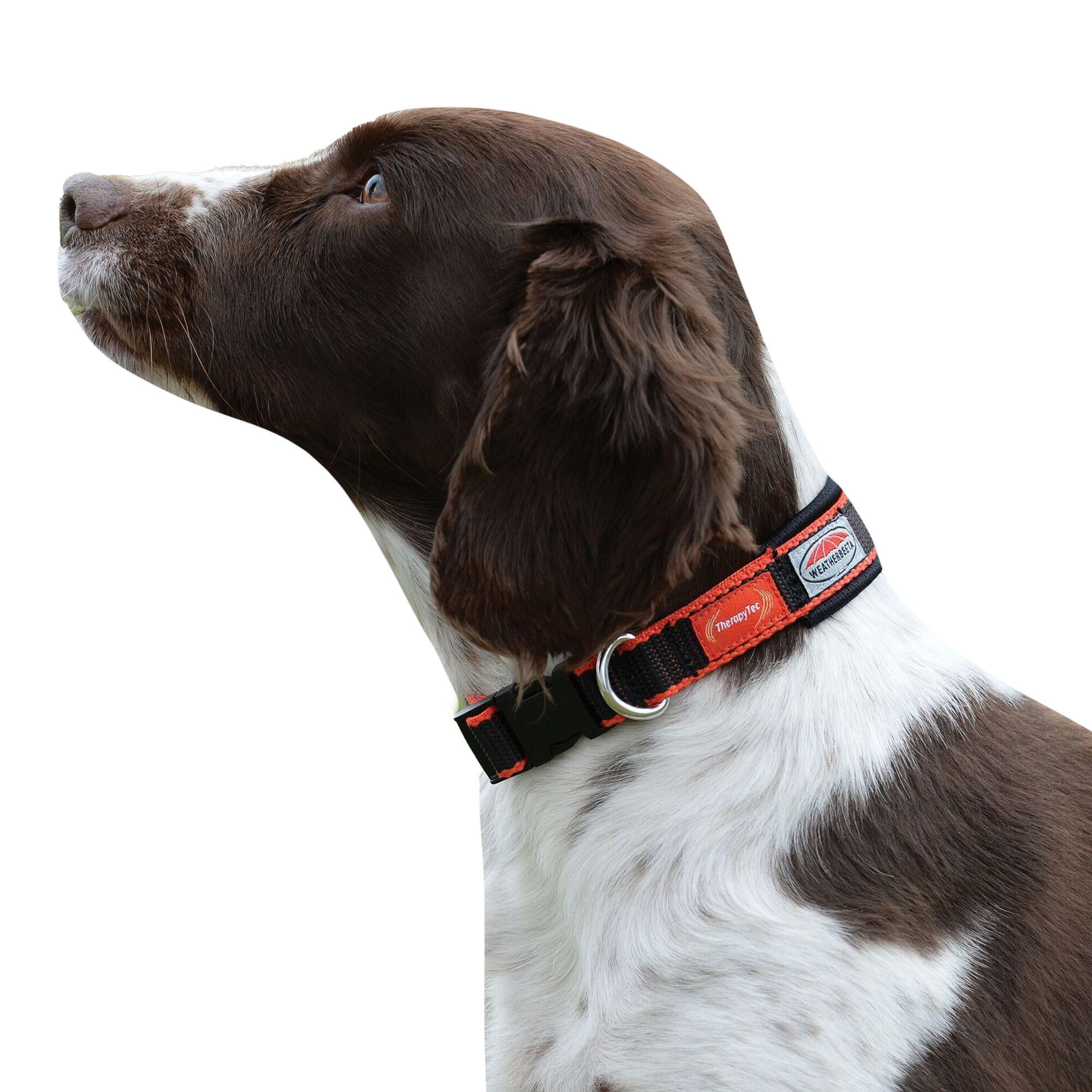 TherapyTec Dog Collar (Black/Red) 3/3