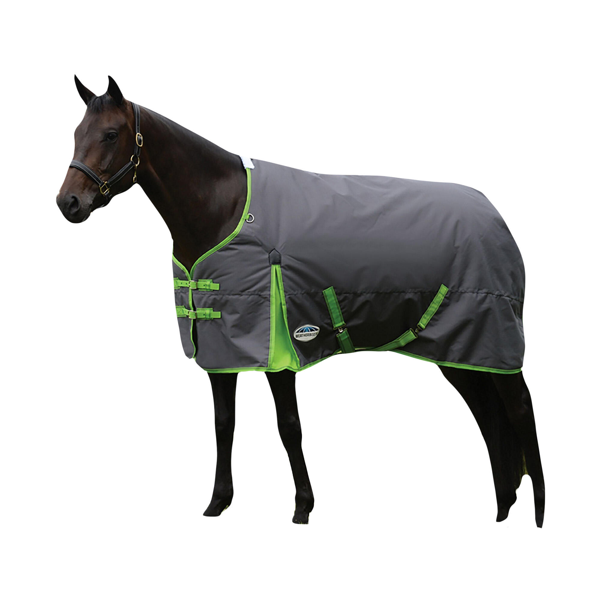 Comfitec Essential StandardNeck Midweight Horse Turnout Rug (Grey/Lime) 3/3
