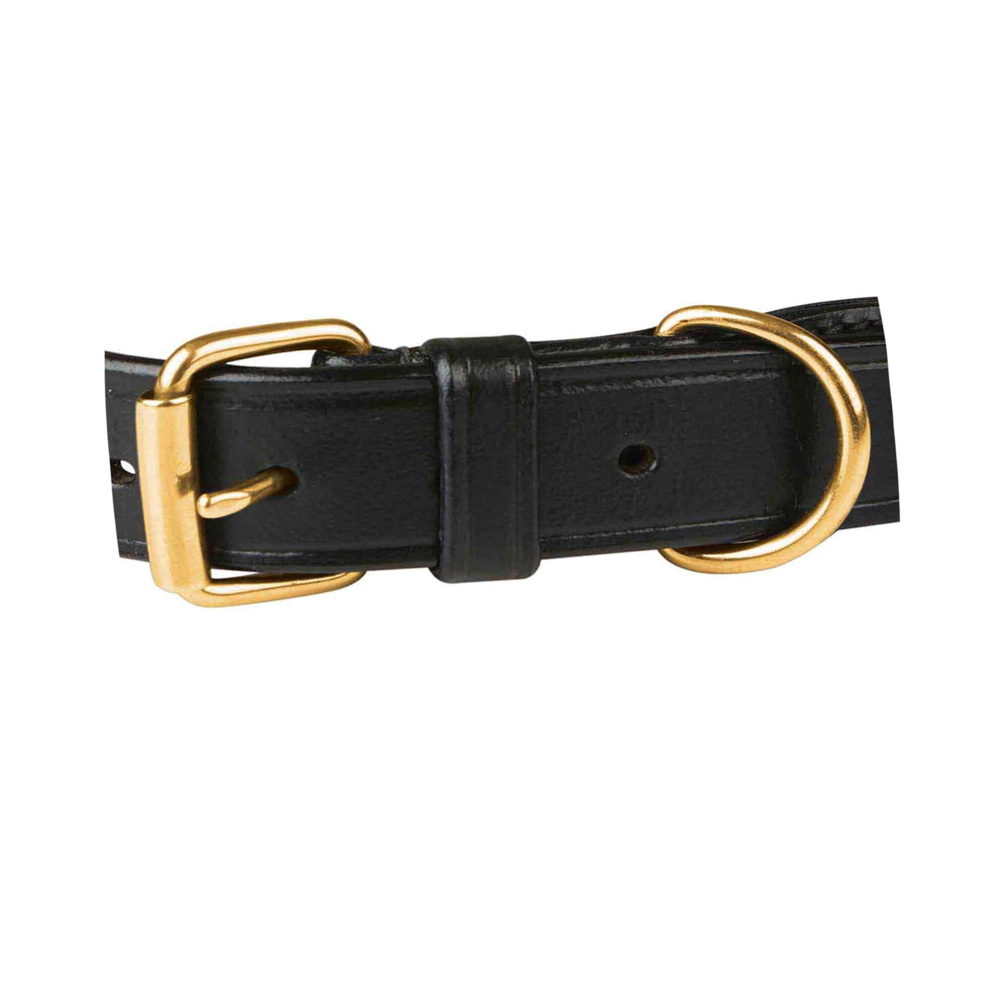 Rope Leather Dog Collar (Navy/Brown) 2/3