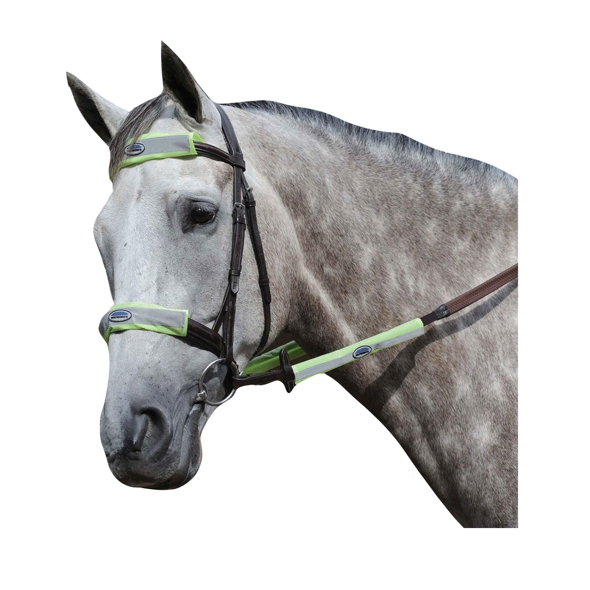 Reflective Horse Bridle (Pack of 4) (Yellow) 3/3