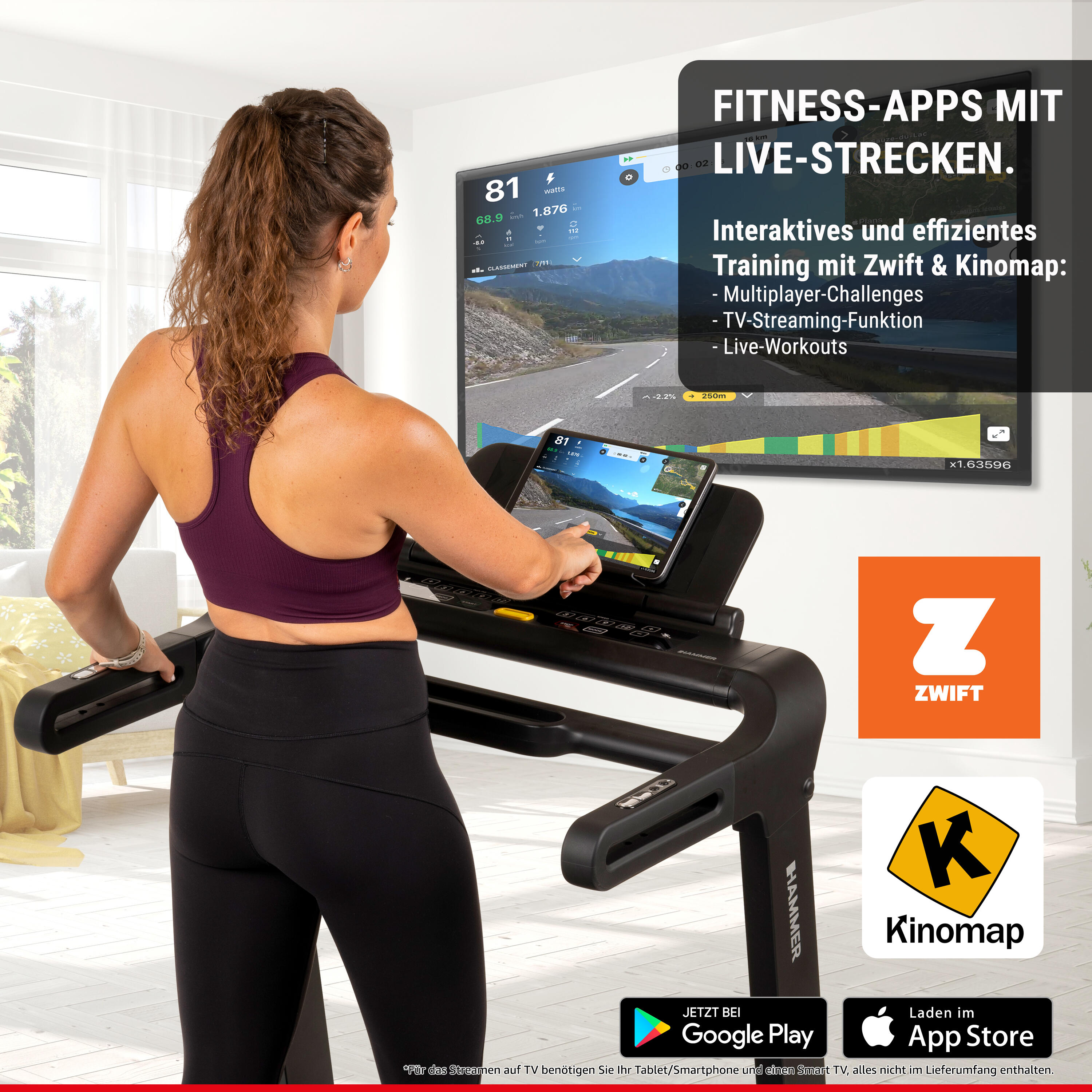 Cinta de correr FLYRUN 4.0 Hammer envío, montaje y puesta en marcha incluido 3/8