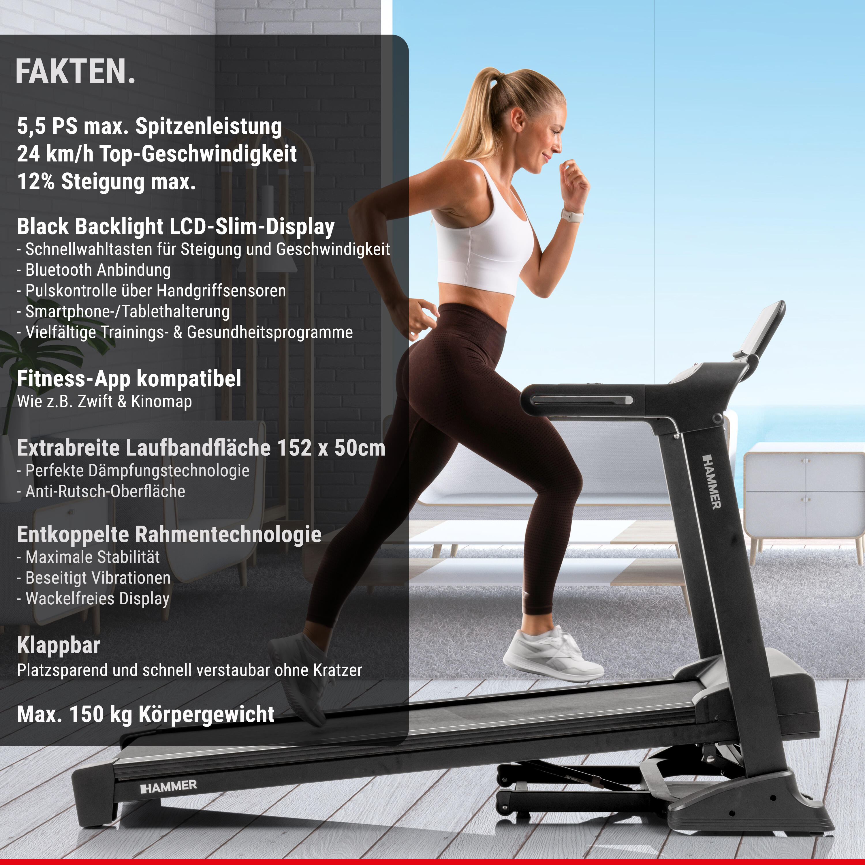 Cinta de correr FLYRUN 4.0 Hammer envío, montaje y puesta en marcha incluido 4/8