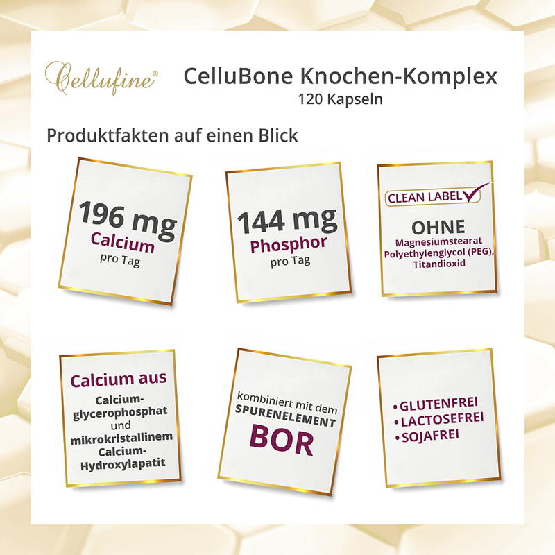 CelluBone Knochen-Komplex - 120 Kapseln