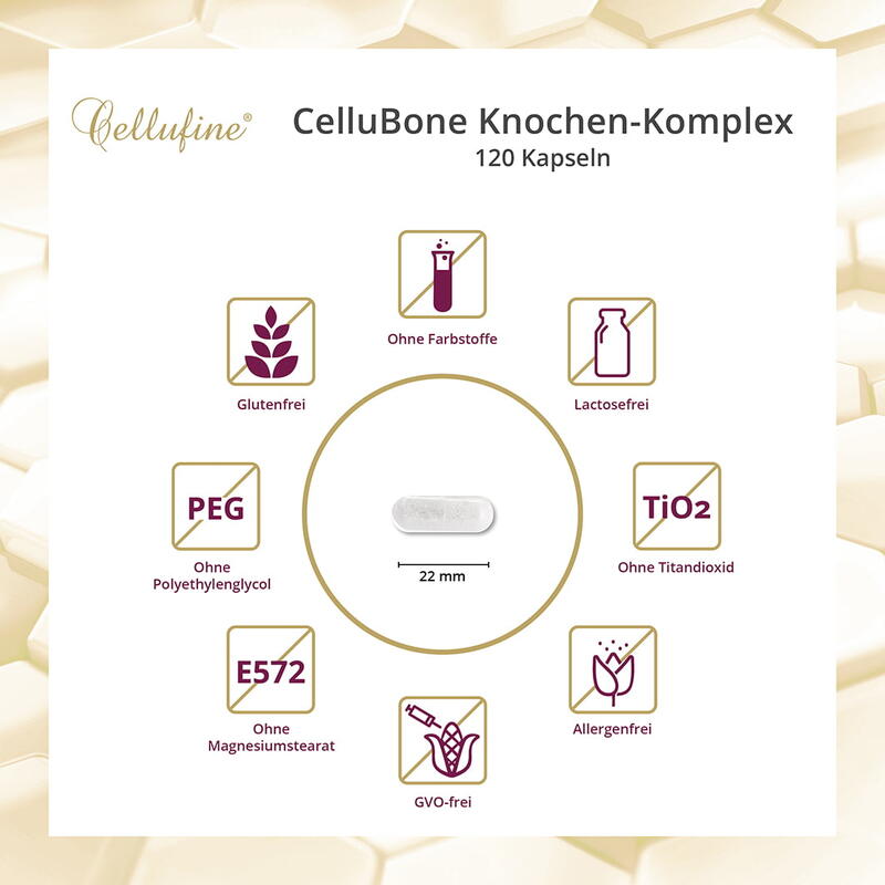 CelluBone Knochen-Komplex - 120 Kapseln