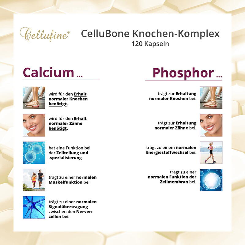 CelluBone Knochen-Komplex - 120 Kapseln