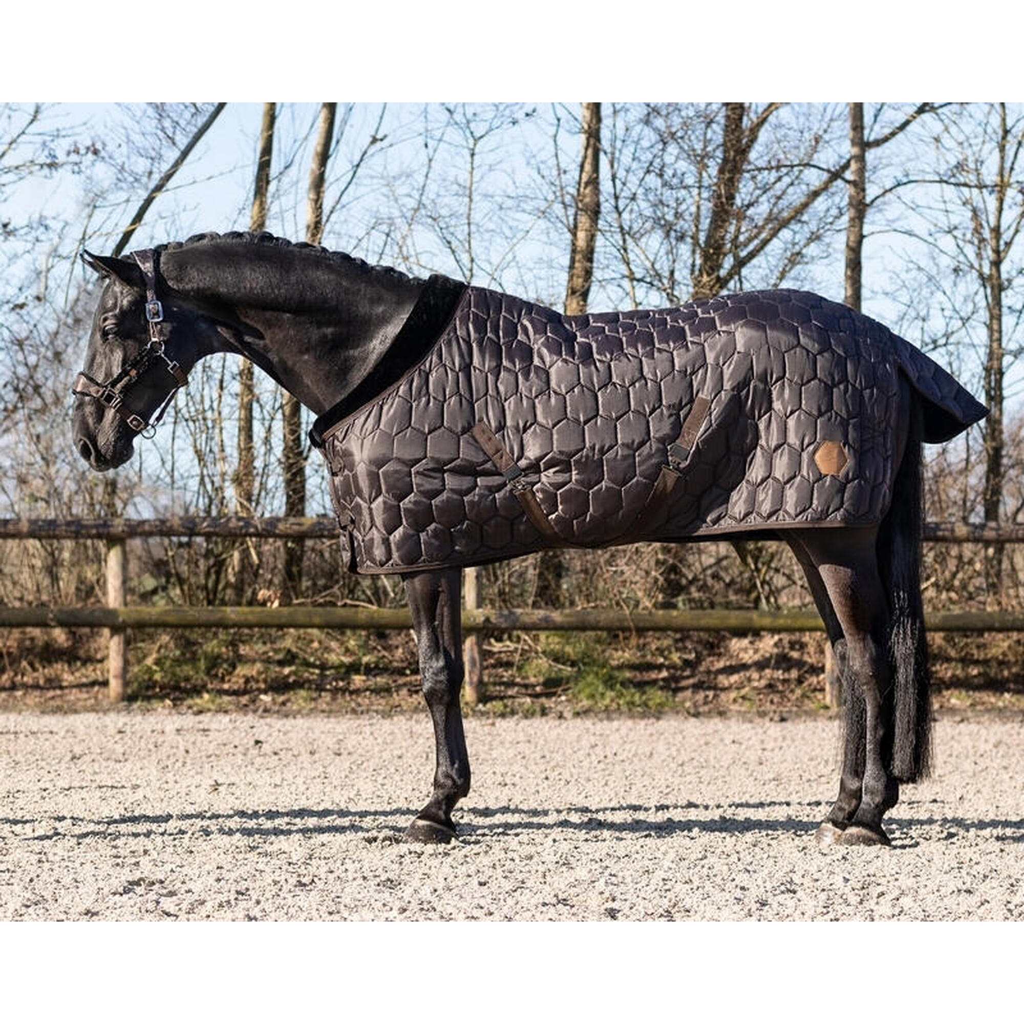 Horse stable blanket QHP Classy 100g