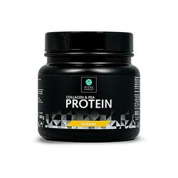 Sport & Health Collagen & Protein - Banaan