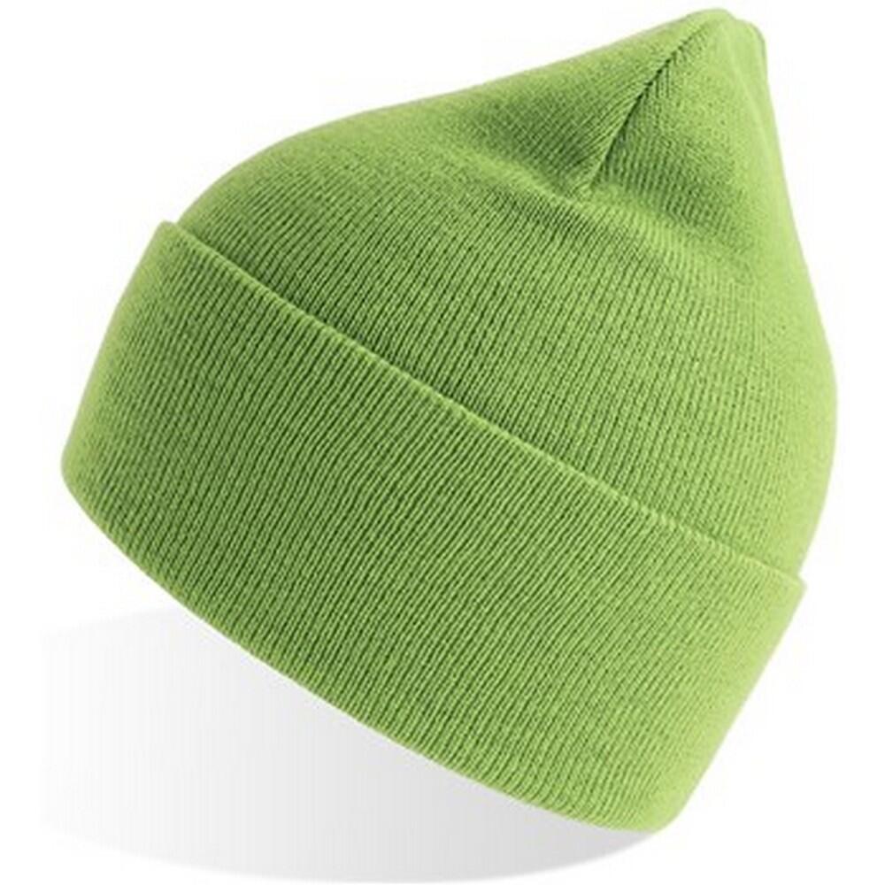 Unisex Adult Pure Recycled Beanie (Acid Lime) 3/3