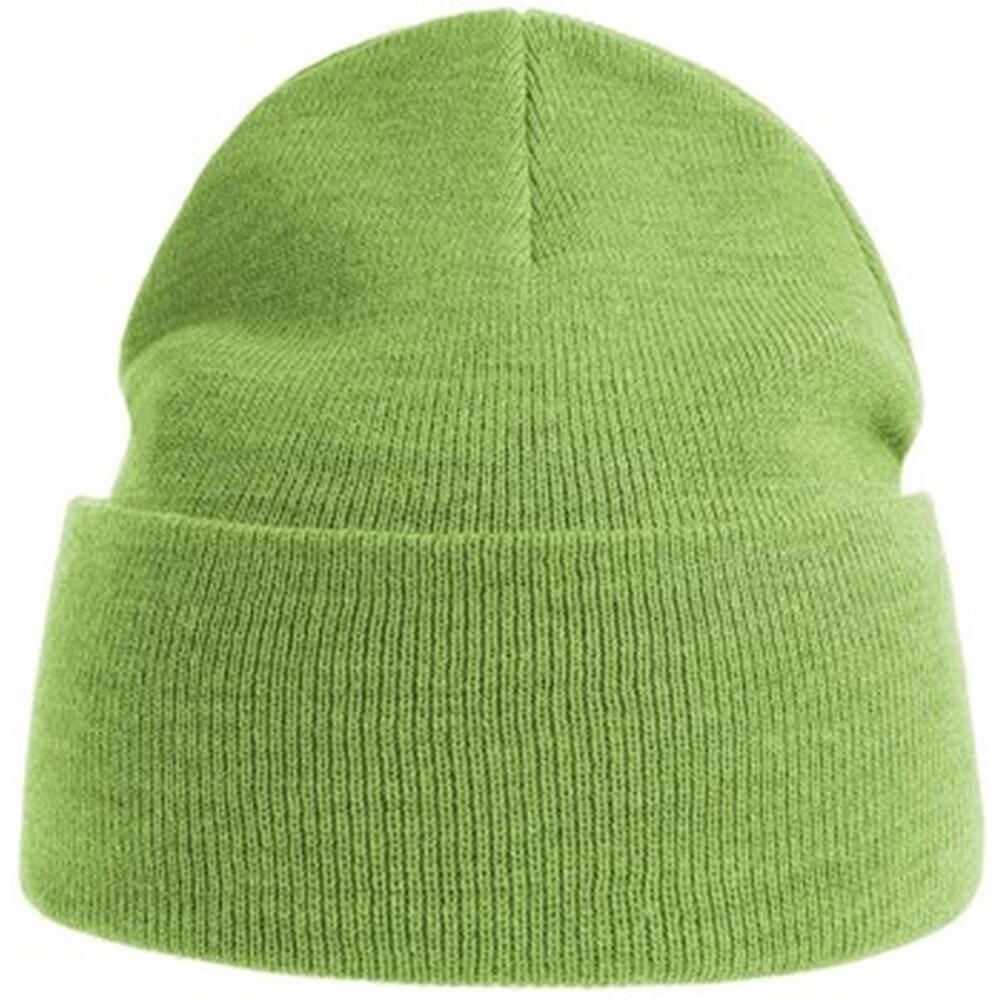 Unisex Adult Pure Recycled Beanie (Acid Lime) 1/3