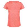 Dames Josie Gibson Fingal Edition Tshirt (Neon Peach)