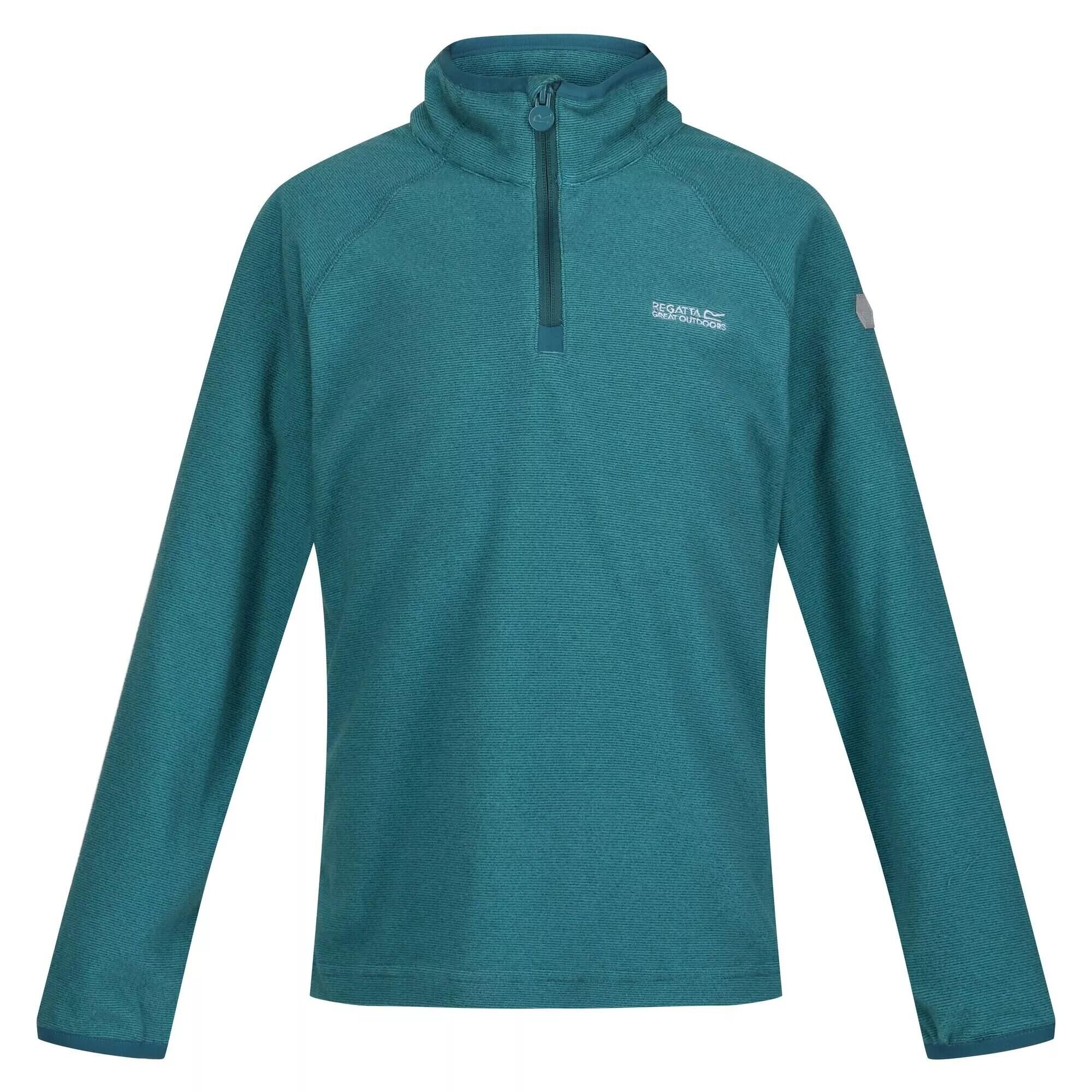 REGATTA Childrens/Kids Loco Fleece (Pagoda Blue/Dragonfly Ink)