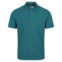 Heren Sinton Lichtgewicht Poloshirt (Pacifisch Groen)