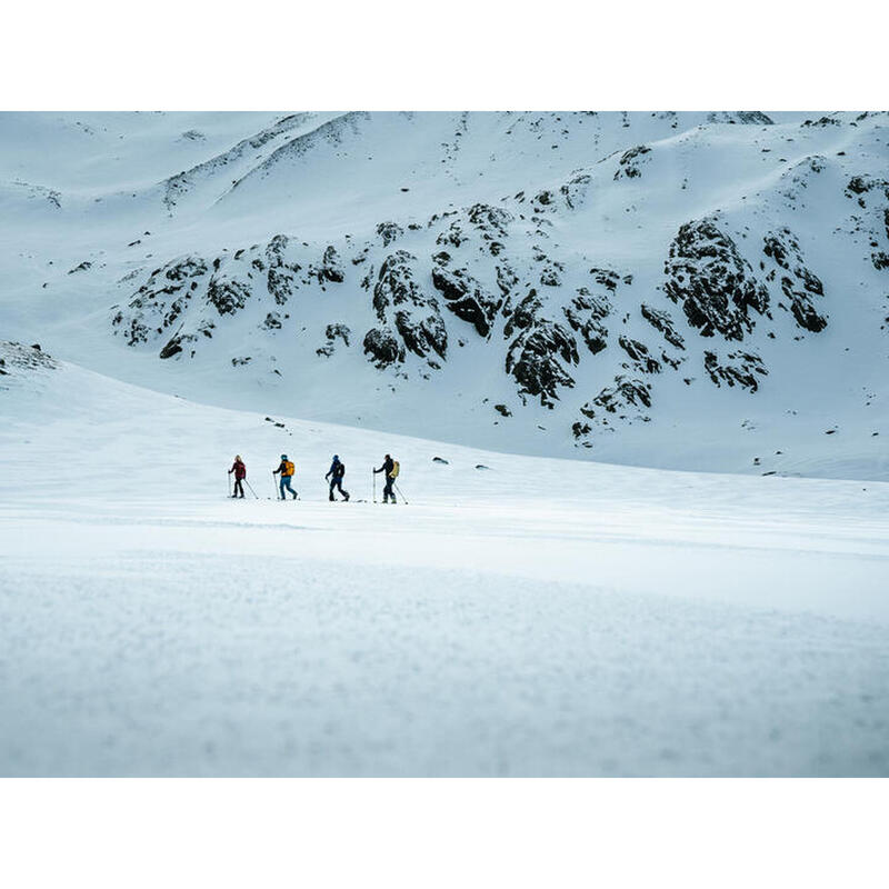 Rękawice narciarskie i snowboardowe męskie Viking Bormio