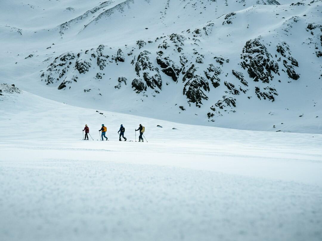 Rękawice narciarskie i snowboardowe damskie Viking Strix Mitten Mountaineering 6/6