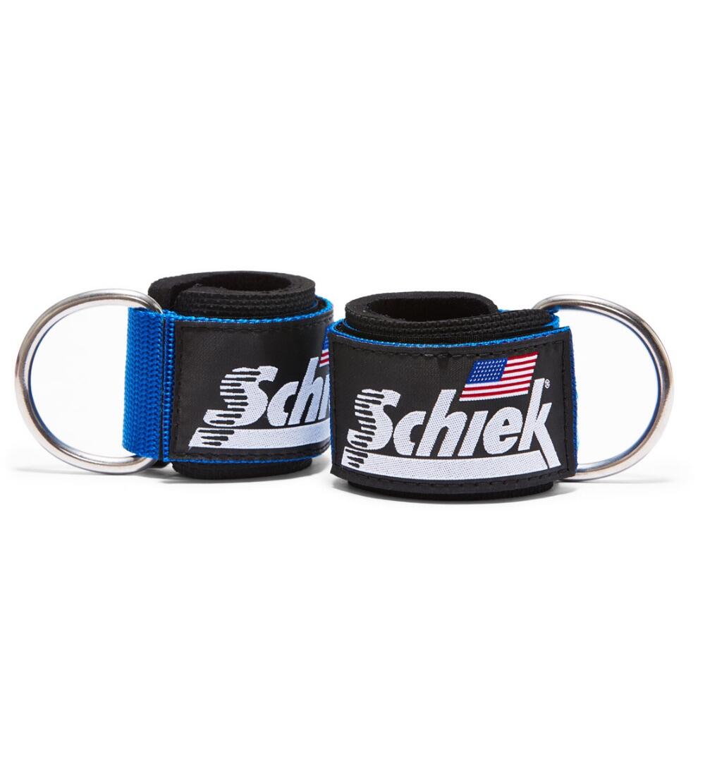 SCHIEK SPORT'S INC. USA picture