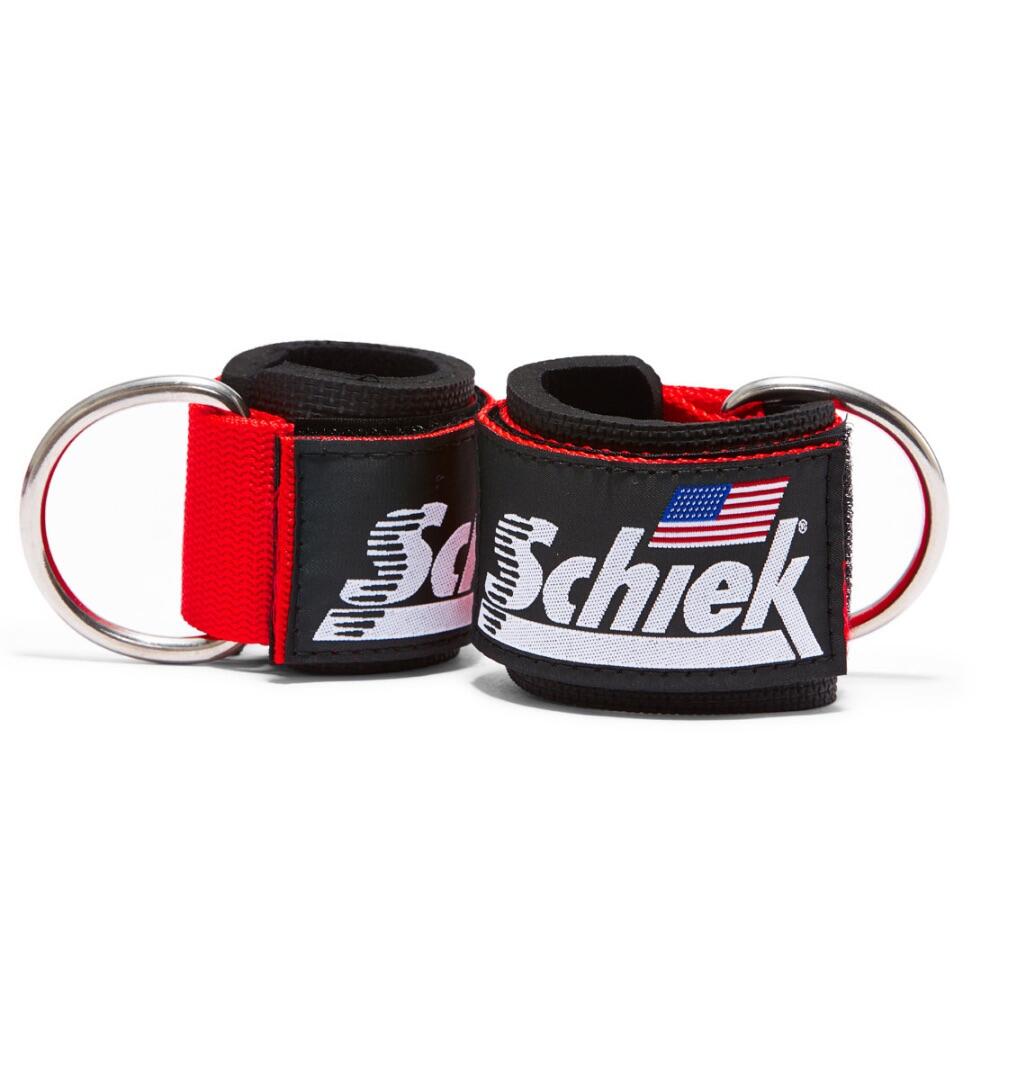 SCHIEK SPORT'S INC. USA picture