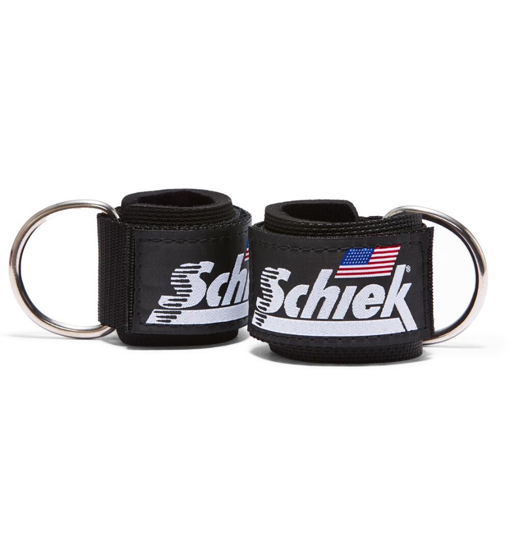 SCHIEK SPORT'S INC. USA picture