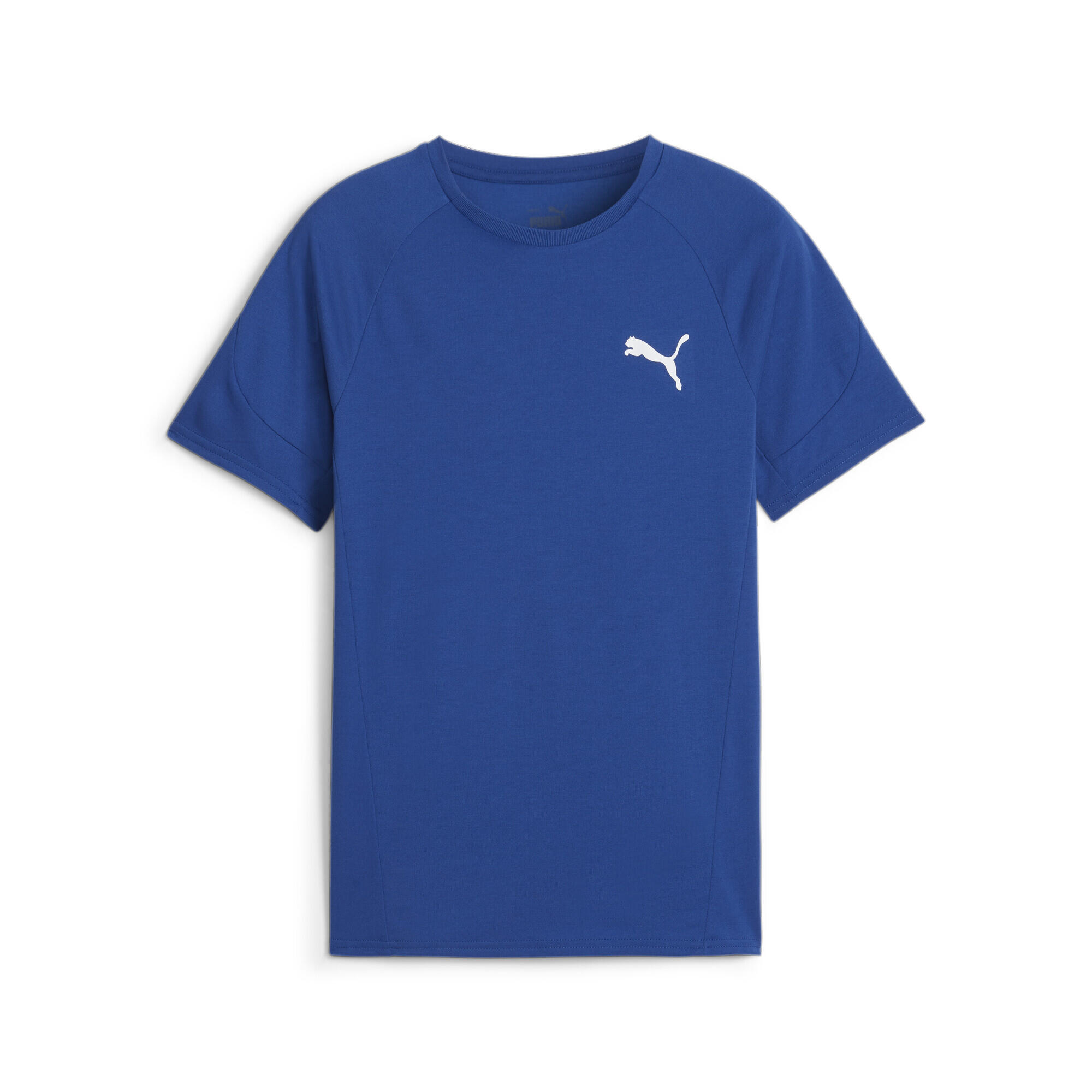 PUMA picture