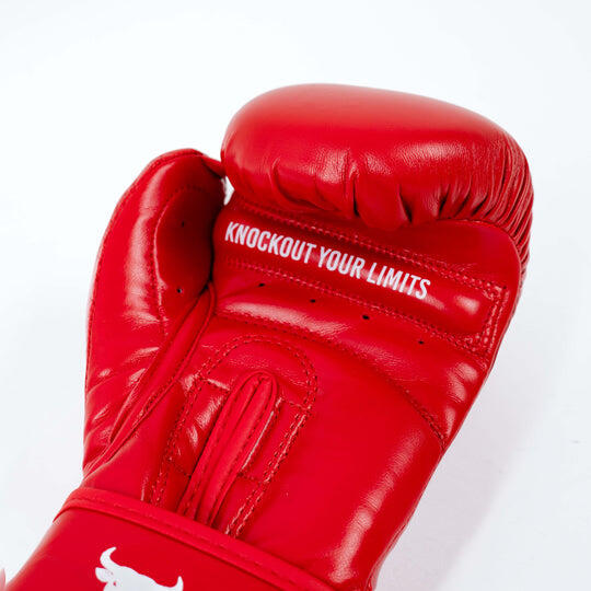 Rękawice bokserskie dla dzieci Knockout Kempo 5/7