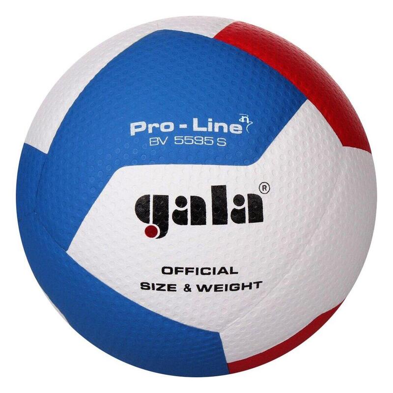 Volejbalový míč GALA PRO-LINE BV5595S HANDSHAKE