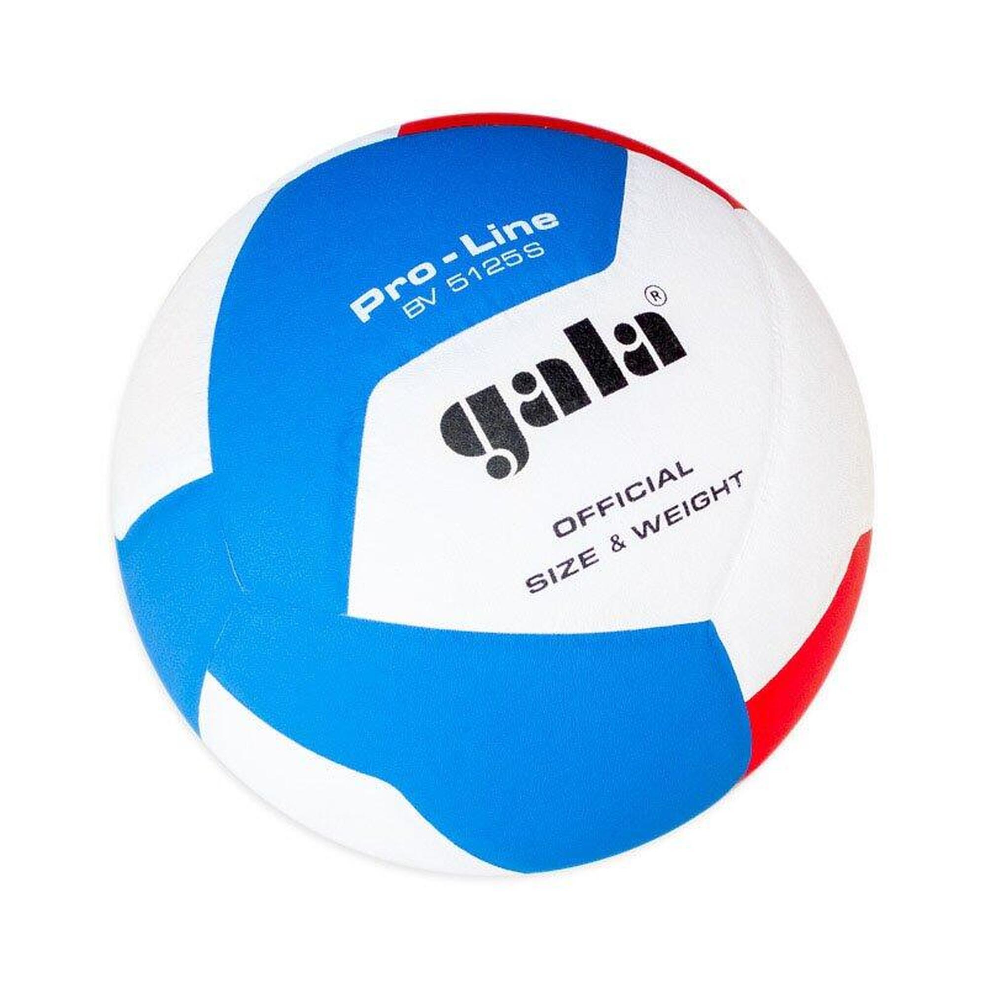 Volejbalový míč Gala BV5125S