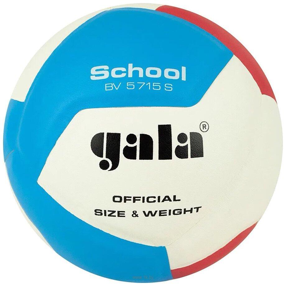 Volejbalový míč Gala BV5715S 1/1