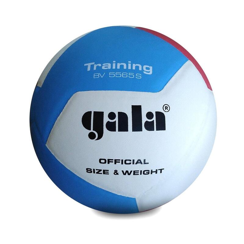 Volejbalový míč PRO-LINE GALA BV5565S