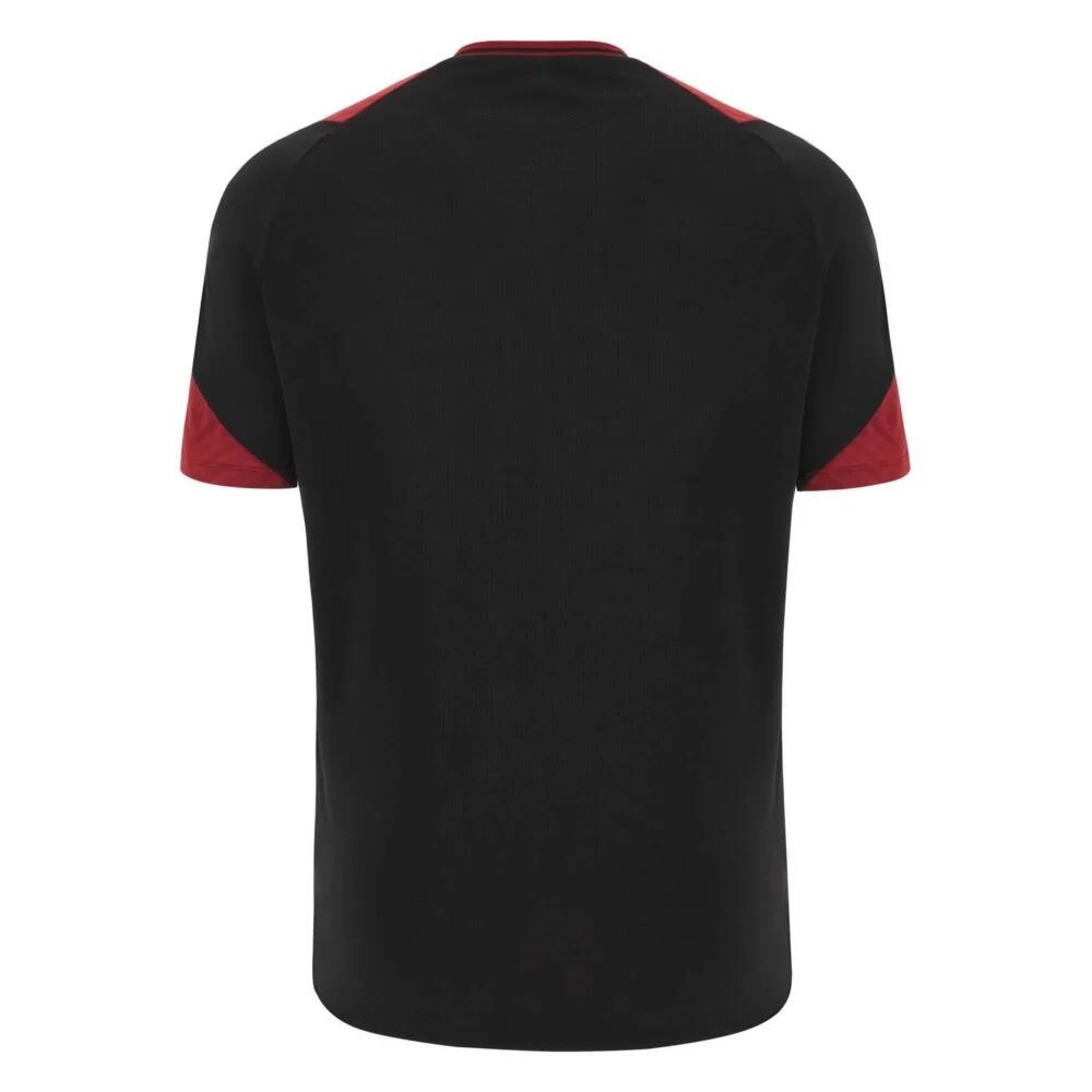 Training Jersey Pays de Galles 6NT 2023 2/4