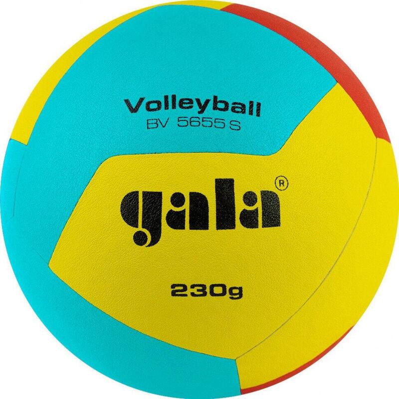 Volejbalový míč Gala BV5655S