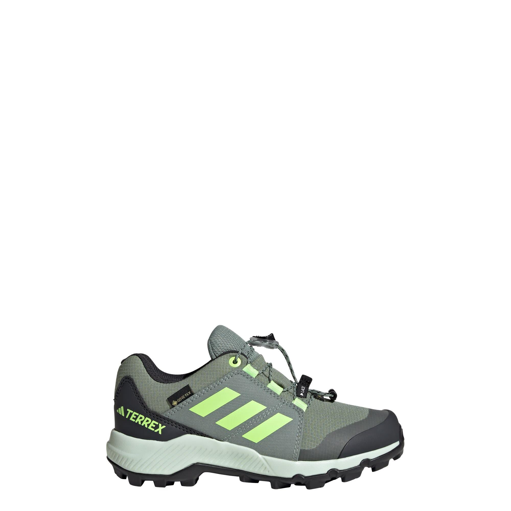 ADIDAS Terrex GORE-TEX Hiking Shoes