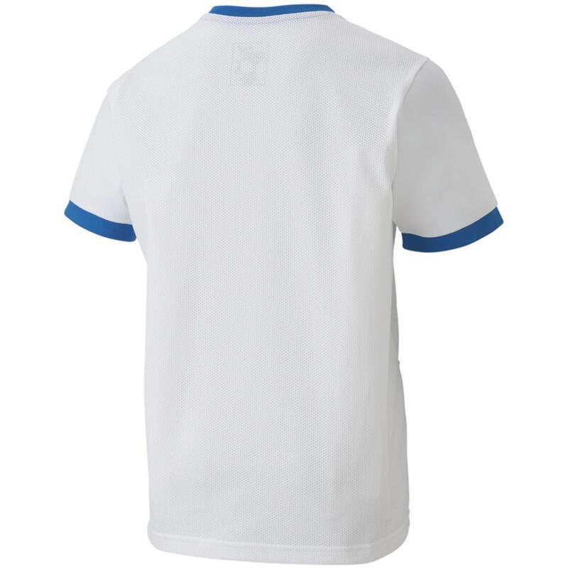 Camisetes para o treino para rapazes Puma Teamgoal 23 Jersey