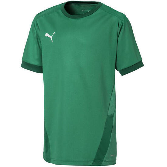 T-shirt formation garçons Puma Teamgoal 23 Jersey