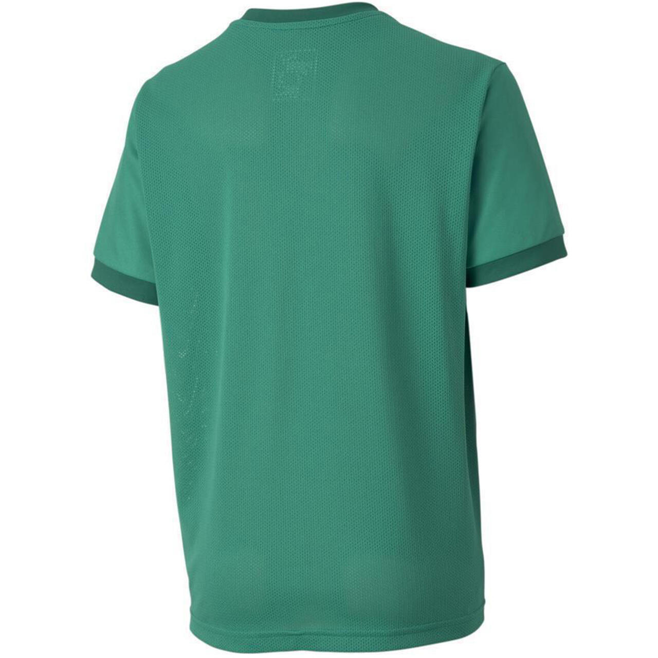 Camiseta Puma Teamgoal 23 Jersey Jr, Verde, Niños 3/4