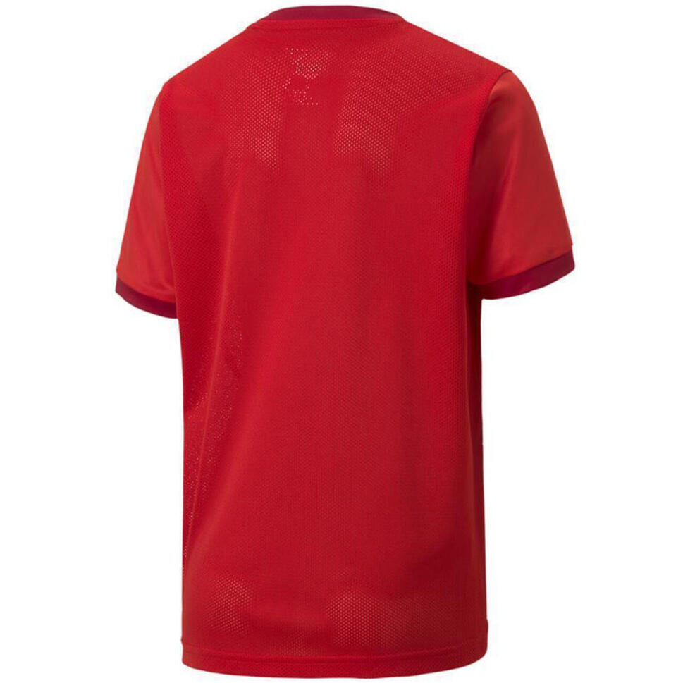 Koszulka dla dzieci Puma teamGOAL 23 Jersey