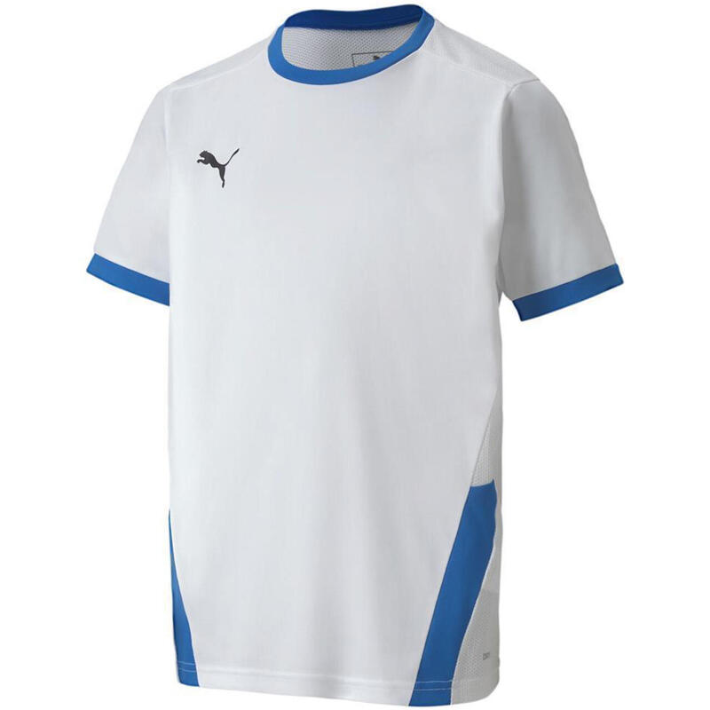 Koszulka dla dzieci Puma teamGOAL 23 Jersey