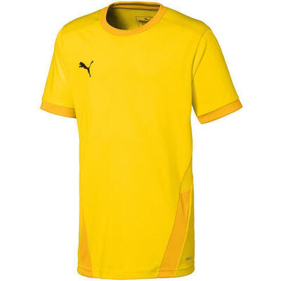 Hemden trainingsschoenen voor jongens puma teamgoal 23 jersey