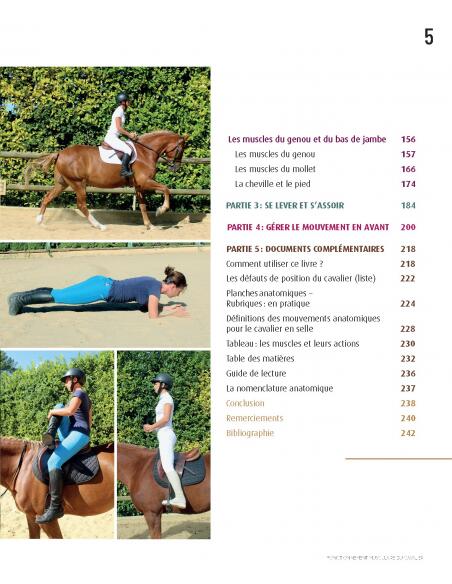 Fonctionnement Musculaire du Cavalier - Confort et Performance 4/4