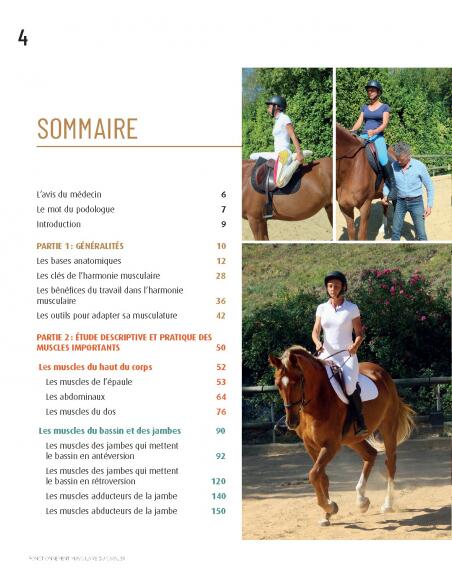 Fonctionnement Musculaire du Cavalier - Confort et Performance 3/4