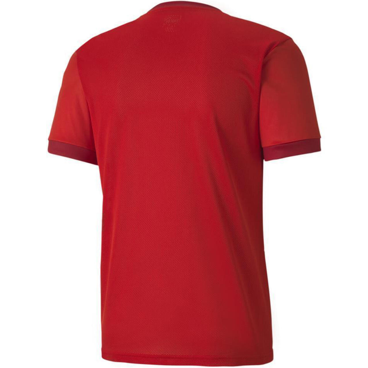 Magliette formazione uomo Puma Teamgoal 23 Jersey 2/3