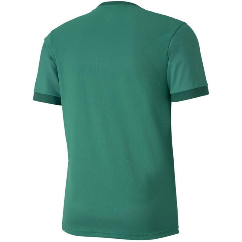Koszulka do piłki nożnej męska Puma teamGOAL 23 Jersey