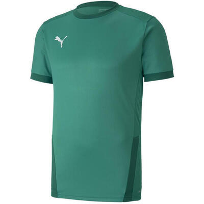 Hemden trainingsschoenen voor heren puma teamgoal 23 jersey