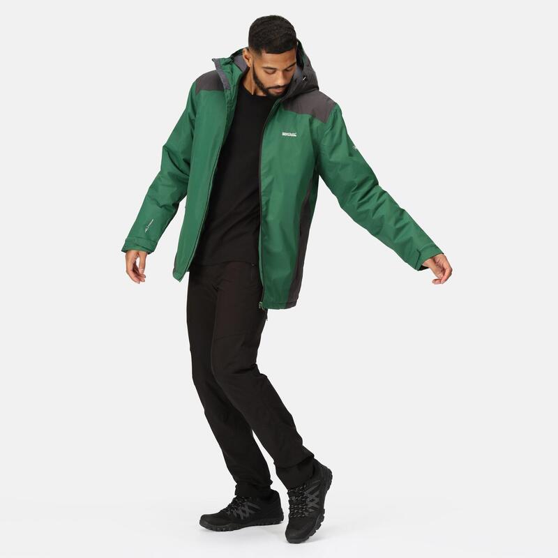 Chaqueta senderismo hombre impermeable Regatta Thornridge II, verde