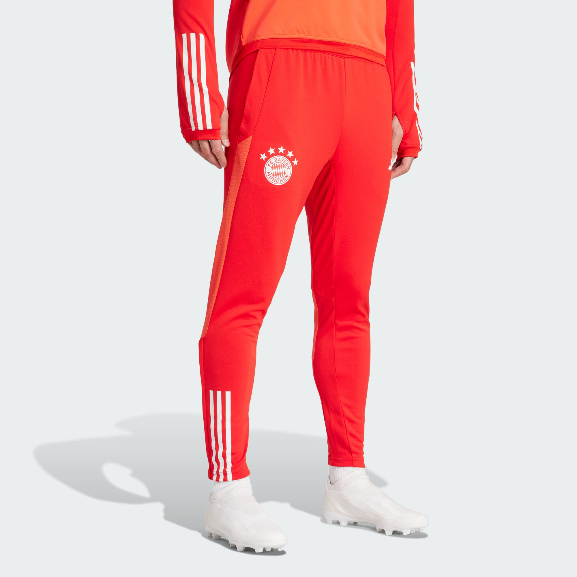 ADIDAS FC Bayern Tiro 23 Training Pants