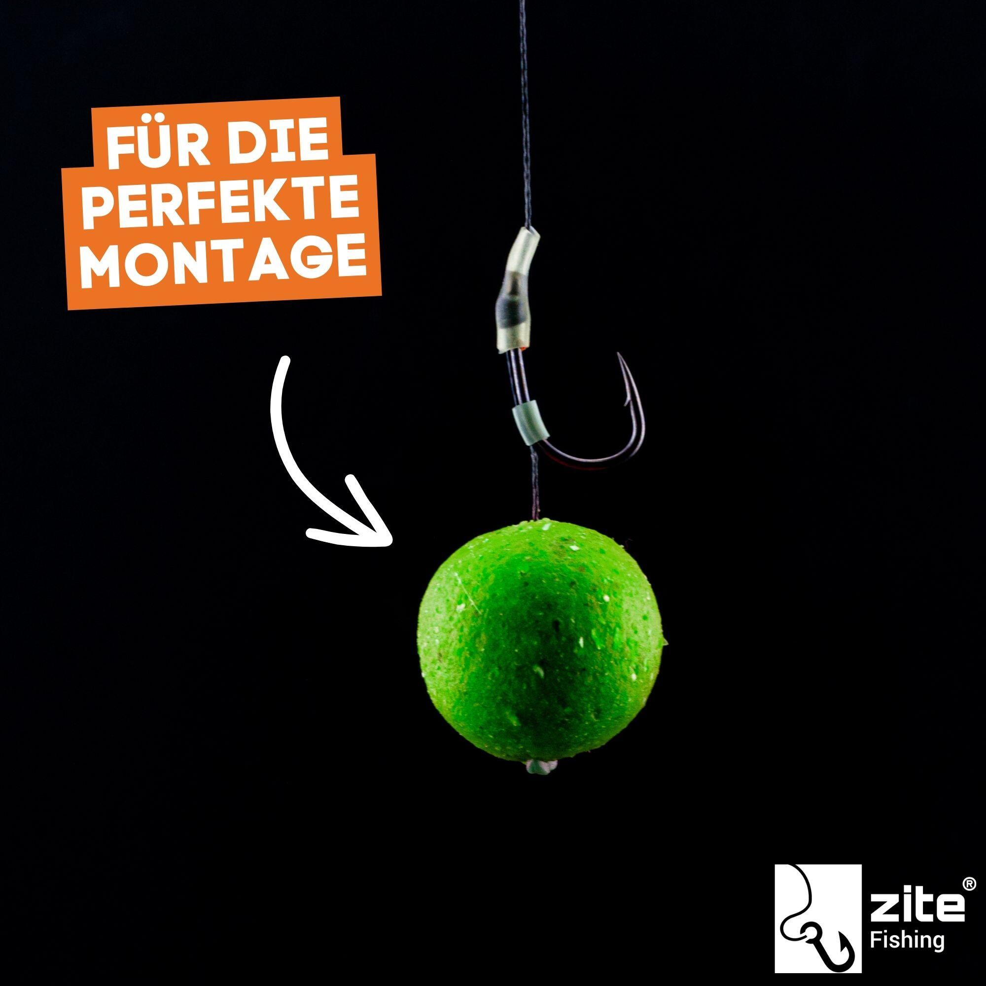 Bouillette de pêche à la carpe - Zite Fishing - 3kg 18mm Coquillage 2/6