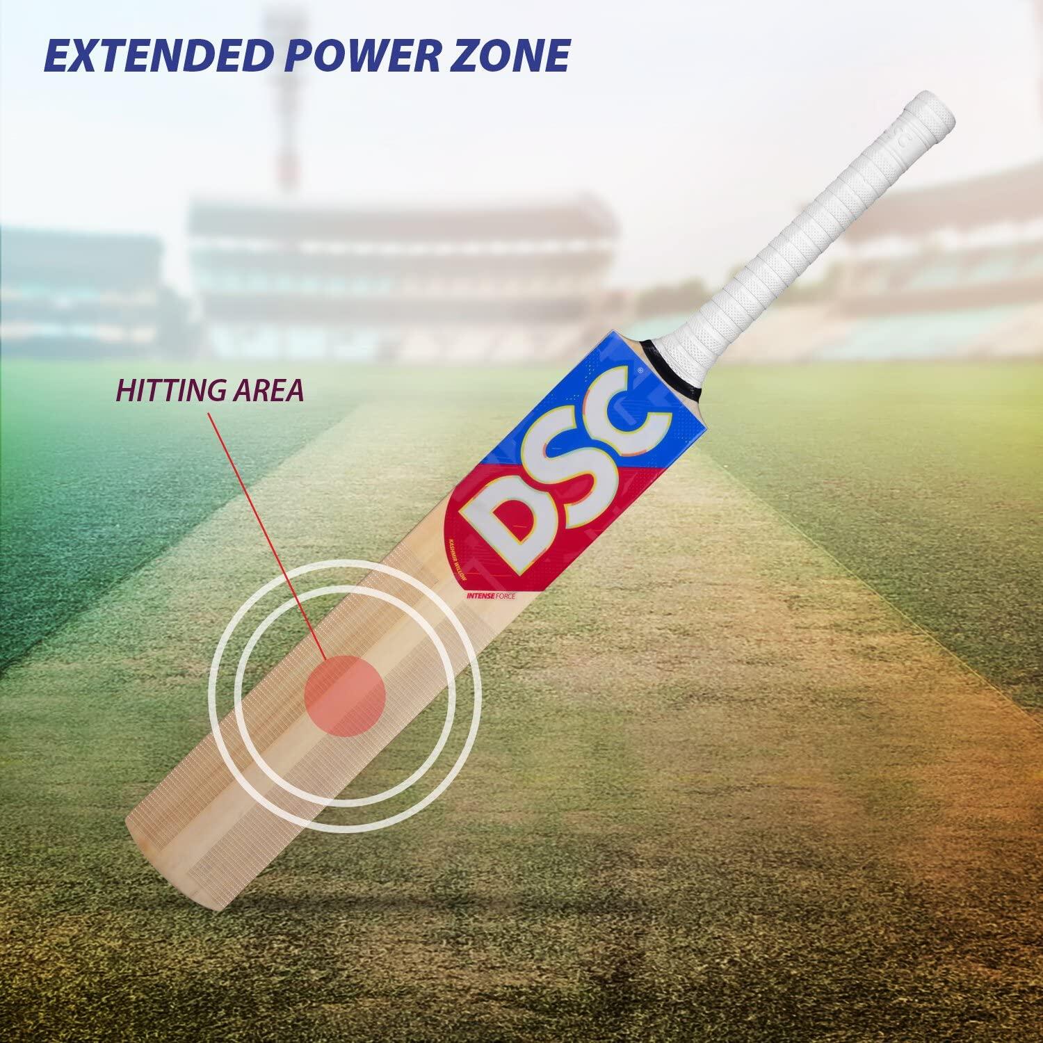 DSC Intense Force Kashmir Willow Cricket Bat for Leather Ball 2/6