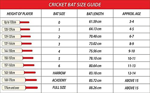DSC Condor Winger Grade 4 English Willow Cricket Bat 4/6